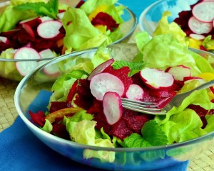 Green Salad With Radishes and Beets
